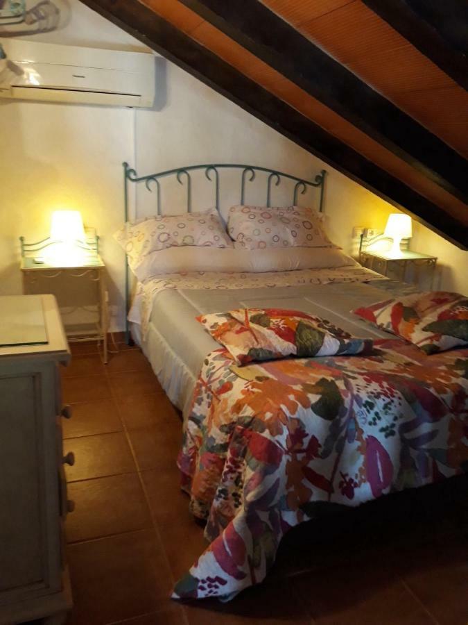 Chalet La Huerta 2 Amplios Jardines Barbacoa Y Wifi Conil De La Frontera Εξωτερικό φωτογραφία
